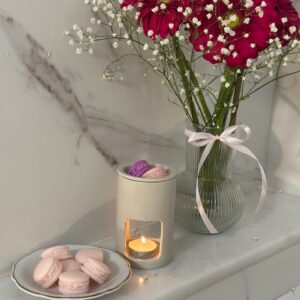 Χειροποίητα wax melts macaroons